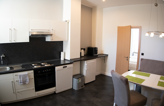 2. Etage Küche, komplett eingerichtete Küche mit Spülmaschine, Liebherr Kühlschrank, Krups Kaffeevollautomat, E-Herd, Backofen und 4-Platten-Herd